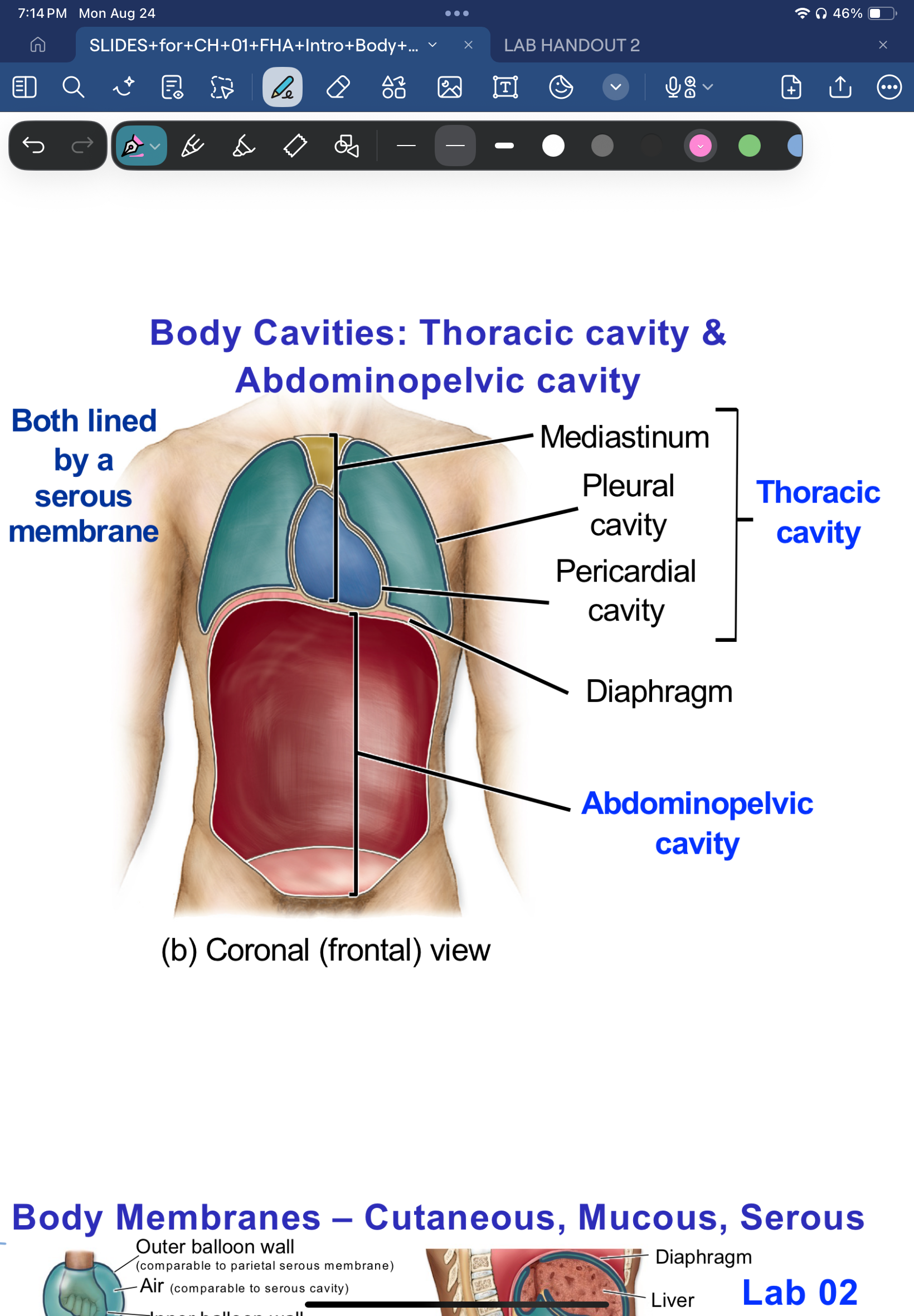 knowt flashcard image