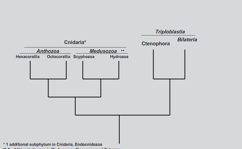 <p>label tree </p>