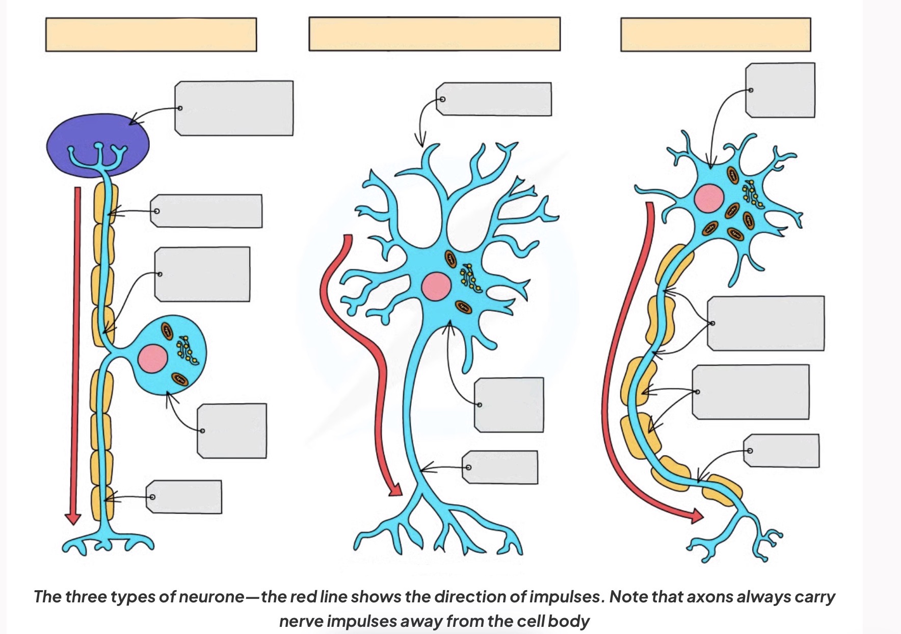 <p>Label this diagram</p>