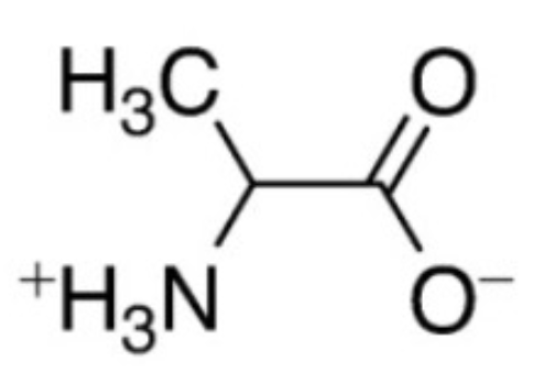 <p>Amino Acid: Single letter designation, Three letter designation, Grouping of the amino acids</p>