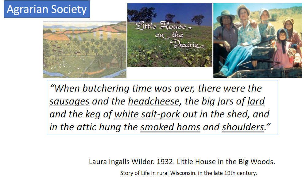 <p><strong>Butchering and Food Use</strong><br>  • In an <strong>agrarian society</strong> → society based largely on <strong>agriculture and farming</strong><br>  • After butchering, many parts of the animal were <strong>used and preserved</strong> rather than discarded<br>  • Examples → <strong>sausages, headcheese, lard, white salt-pork, smoked hams, and shoulders</strong><br>  • These foods show how <strong>different parts of the animal were used for food</strong></p>