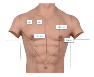 <p>Chest</p>
