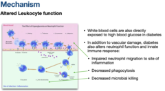 <p>Altered Leukocyte Function Theory</p>