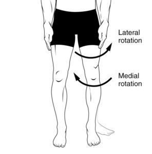 <p><strong>twisting </strong>a limb <strong>inward toward your center line</strong></p><ul><li><p>detail: the anterior (<em>front</em>) surface of the limb turns toward the body’s <em>midline</em></p></li><li><p>example: standing <u>pigeon-toed (toes pointed inward</u>)</p></li></ul><p></p>