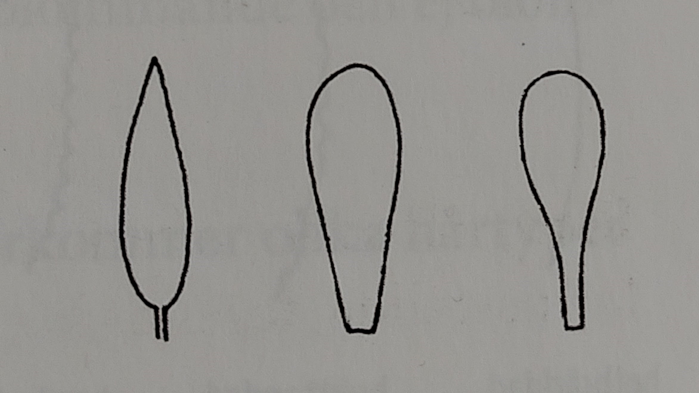 <p></p>