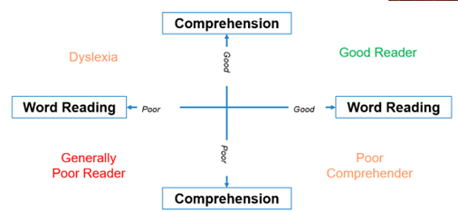 <p>Gough &amp; Tunmer (1986)</p><p>4-dimensional conceptualisation of reading comprehension</p><ul><li><p>reading comprehension is the product of:</p><ul><li><p>word recognition/decoding</p></li><li><p>language comprehension</p></li></ul></li></ul><p></p><p></p>