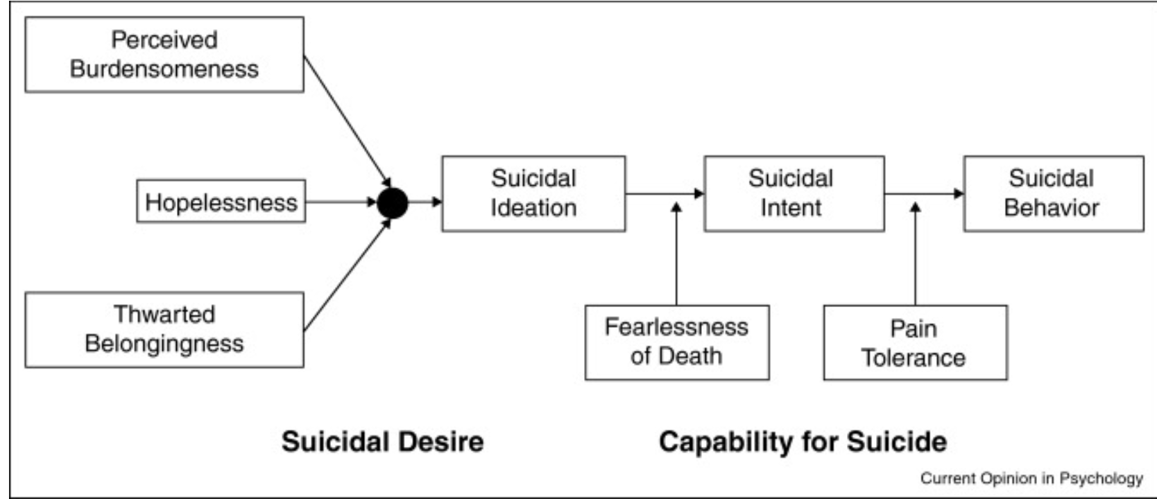 <p>What part of model explains why not every person attempts?</p>