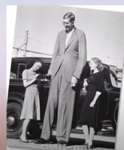 <p><span>About how tall did Robert Pershing Wadlow grow?</span></p>