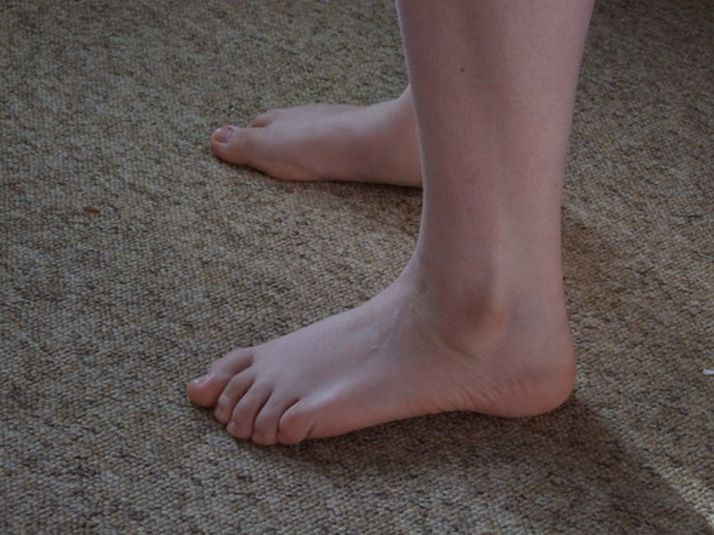 <p>ankle</p>