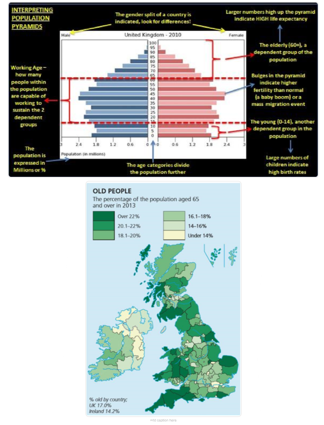 <p>~18% of the UK population are over 65</p><p>there’s more older people in coastal areas especially in E &amp; SW england - popular due to warmer temps. lower in northern ireland &amp; in big cities</p><p>urban core areas have the youngest average ages - 39 in major conurbations, 46 in remote rural areas</p>