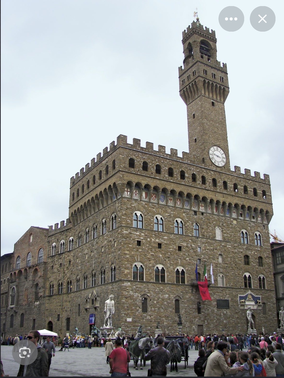 term image