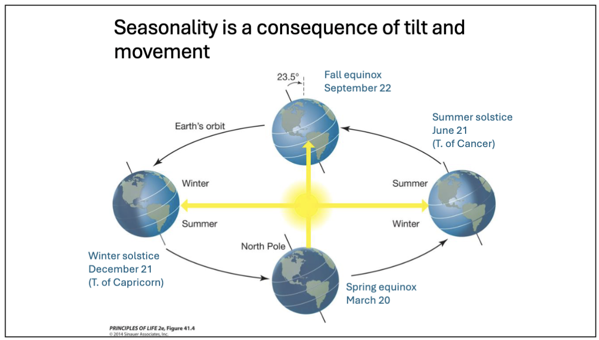 <ul><li><p>What gives us seasonality is the fact that the Earth is tilted relative to the plane of its yearly orbit. Earth goes counter clockwise around the sun.</p></li><li><p class="p1">Different latitudes receive different solar energy input at different times of the year</p></li><li><p class="p1">Starting at the bottom, since this is the approximate time of year: is it an equinox or a solstice? Just passed the Spring equinox. Sun is at the equator, so in the northern hemisphere, it is the spring equinox. And around the globe, both day and night are equal lengths</p></li><li><p class="p1">Rotation: Earth turns on its internal axis (counter clockwise)</p></li><li><p class="p1">Revolution: Circles an external axis</p></li><li><p class="p1">Latitude of greatest solar energy shifts between the Tropic of Cancer (23.5 N) and Tropic of Capricorn (23.5 S) over the course of a year.</p></li><li><p class="p1">As viewed from the north pole star, Earth turns counter clockwise</p></li></ul><p></p>