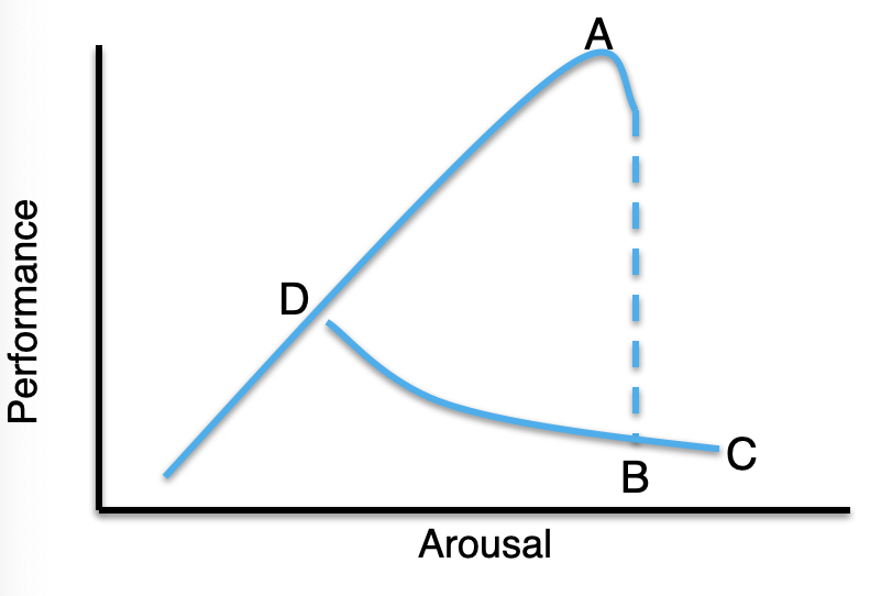 <p>Explain point <strong>A</strong> of the Catastrophe Theory </p>
