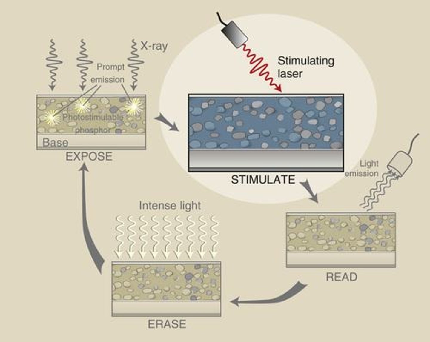 <p>A process where materials emit light some time later when exposed to a different light source.</p>