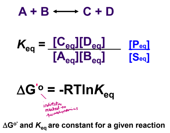 <p>Keq (drive for rxn to reach equilibrium) and ∆G'° are measures of a reactions tendency to proceed spontaneously</p><ul><li><p> ∆G gives us information regarding driving force to reach equilibrium</p></li><li><p> sense of direction and magnitude, negative means a drive to get to products and a larger negative value means youre far away from products</p></li></ul><p>see slide 31-32</p>