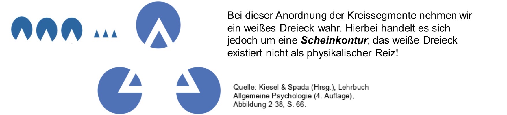 <ul><li><p>Das Resultat von Wahrnehmungsprozessen hängt entscheidend ab </p><ul><li><p>Von Vorwissen der wahrnehmenden Person </p></li><li><p>Von der Gesamtkonfiguration der Reizinformation </p></li></ul></li><li><p>Das Resultat von Wahrnehmungsprozessen lässt sich nicht rein aus der Verarbeitung der einzelnen physikalischen Reize erklären, sondern “Das Ganze ist mehr als die Summe seiner Teile” </p></li></ul><p></p>