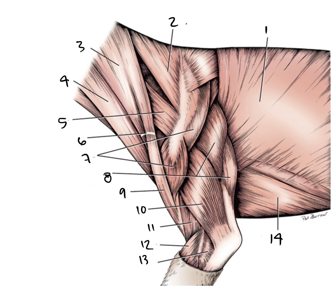 <p>9</p>