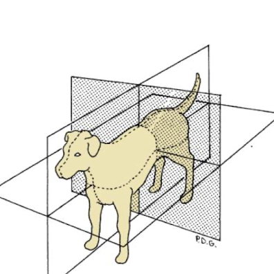 <p>What plane is being shown?</p>