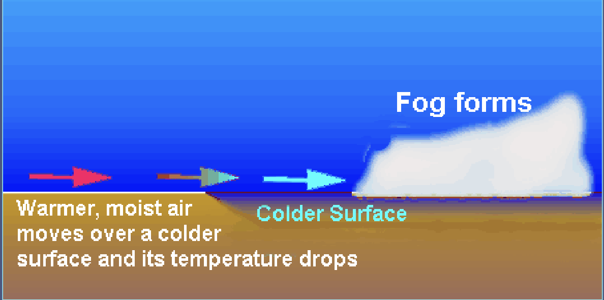 <ul><li><p>Warm, moist air blown over a cold surface. This chills the air to its dew point and fog forms (thick)</p><ul><li><p>Need winds to provide turbulence</p></li><li><p>Common in summer/fall along west coast</p></li></ul></li></ul><p></p>