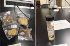 <p>-Finger Sponge</p><p>- Grass Sponge (top left)</p><p>-Sheep's Wool Sponge (top right)</p><p>-Yellow Sponge (bottom left)</p><p>- Hard Head Sponge (bottom right)</p><p>-DOES NOT include fake cellulose</p>