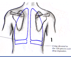 <p>1</p>