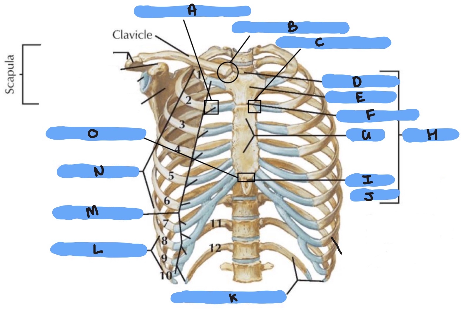 <p>NTK</p>