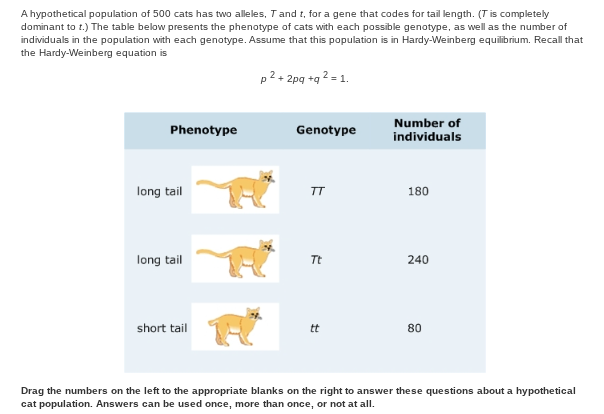 <ol start="8"><li><p>Use the HArdy-Weinberg equation and your answer to question 7 to estimate the frequency of hte recessive allele <em>t </em>in the next generation</p></li></ol><p></p>