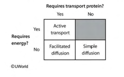 <p>three main pathways:</p><ol><li><p>active transport</p></li><li><p>simple diffusion</p></li><li><p>faciliated diffusion: Transport that <span>is </span>facilitated by transmembrane proteins without the expenditure of energy</p></li></ol><p></p>