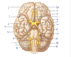 <p>9</p>