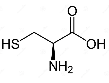 <p>Name this amino acid</p>
