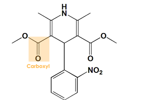 <p>[CARDIAC DRUGS]</p><p>a. Nifedipine</p><p>b. Amlodipine</p>