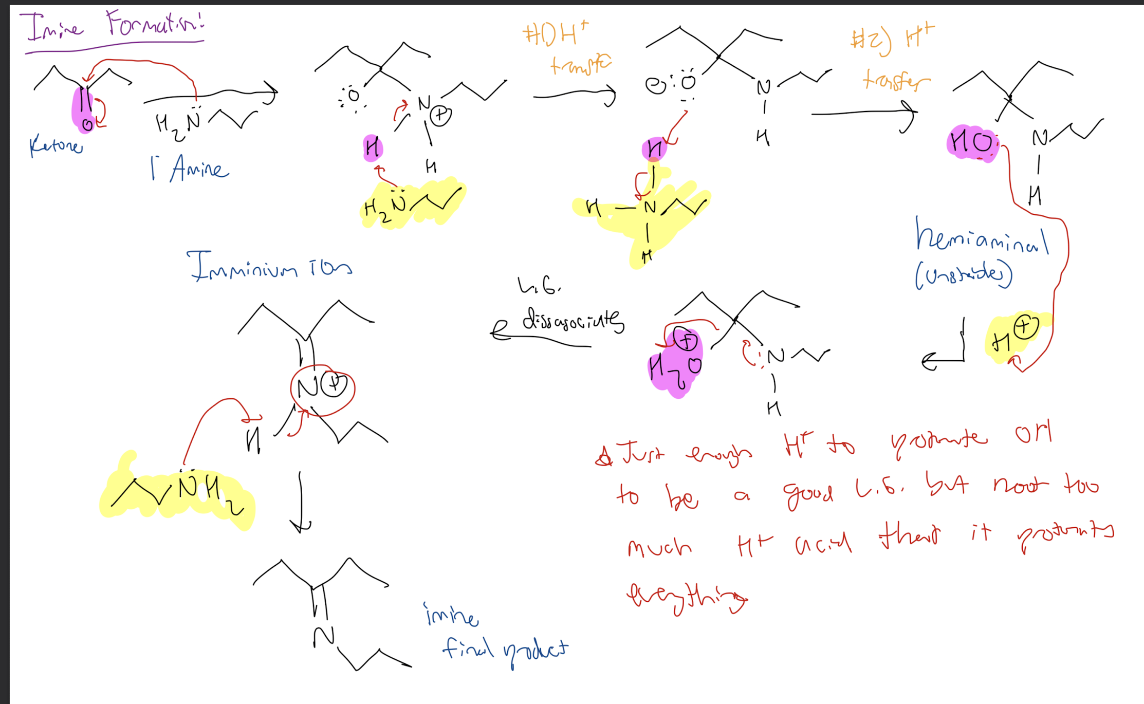 <p><strong>Aldehyde/Ketone → Imine</strong></p><p><strong>1) Nuc Addition of Amine</strong></p><p><strong>2) 2 Proton transfers to form Hemiaminal intermediate</strong></p><p><strong>3) Acid Proton Transfer forming L.G H2O </strong></p><p><strong>4) Proton Transfer on Hydrogen ON the nitrogen to form IMINE</strong></p>