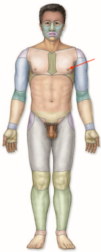 <p>what is this section called?</p>