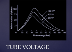 <p>increase, increase</p>