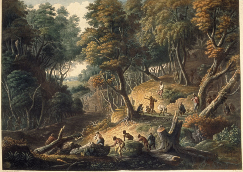 <p><span style="background-color: transparent; font-family: "Century Gothic", sans-serif;">2.15 <u>The Maroons in Ambush on the Dromilly Estate in the Parish of Trelawney, Jamaica by J. Bourgoin and J. Merigot, 1801</u></span></p>