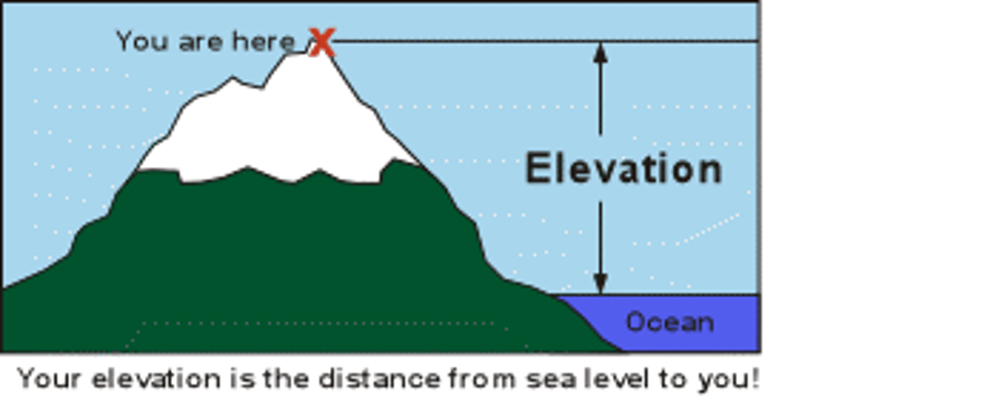 <p>height</p>