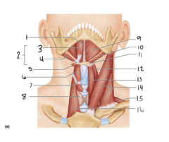 <p>9</p>