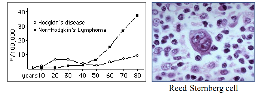 <p>Hodgkin Lymphoma: summary</p>