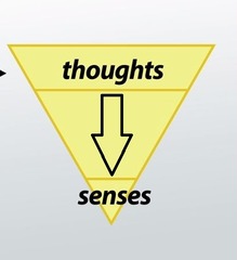 <p>information processing guided by higher-level mental processes, drawing on our experience and expectations</p>