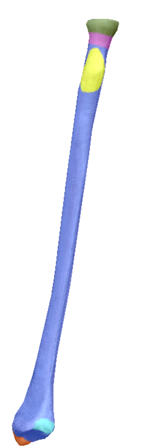 <p>highlighted portion</p>