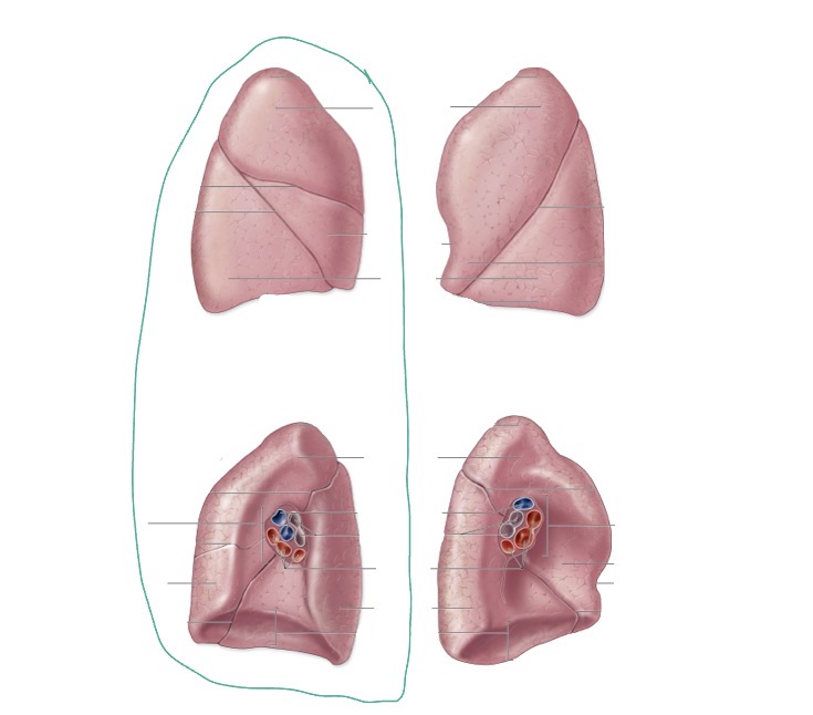 <p>what is this </p>