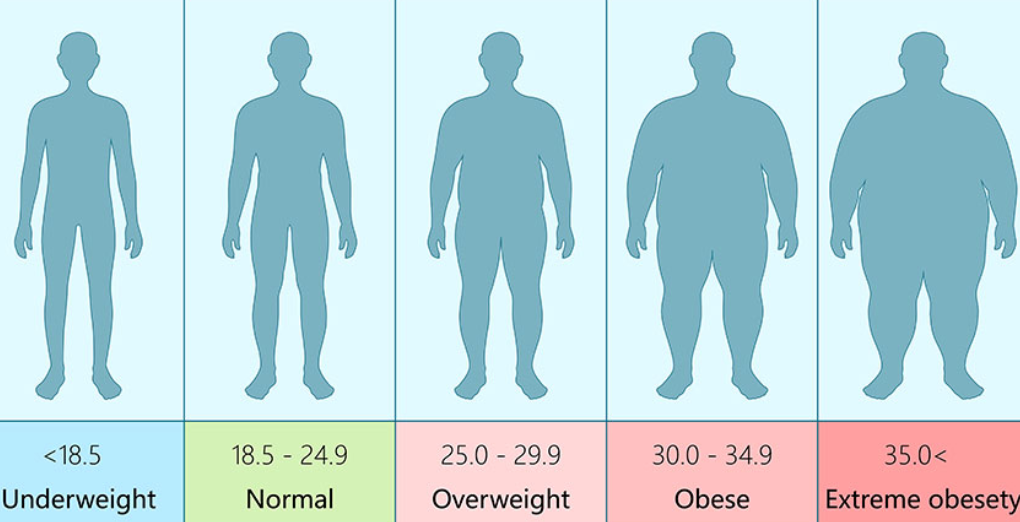 <p>body mass index (bmi)</p>
