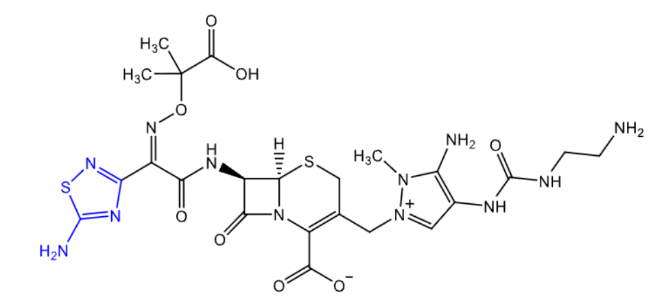 <p>name</p>