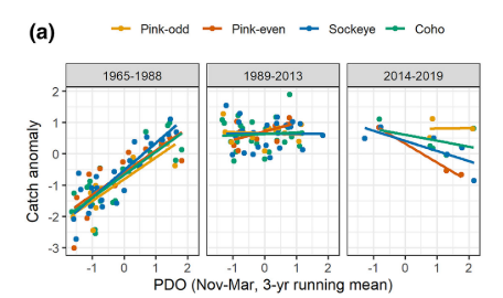 <ul><li><p>‘Novel’ climates, making predictions harder </p></li><li><p>E.g. the relationship between Salmon catch and PDO phase is hard to identify (pic) - Makes fisheries management more challenging </p></li></ul><p></p>