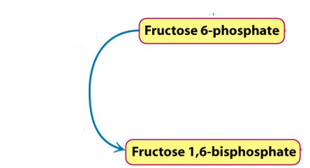 <p>Describe the method of regulation</p>
