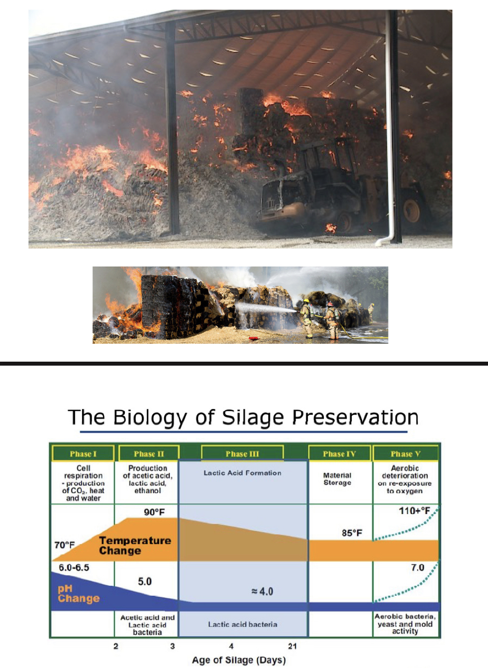<p>Moisture causes bacteria to grow</p>