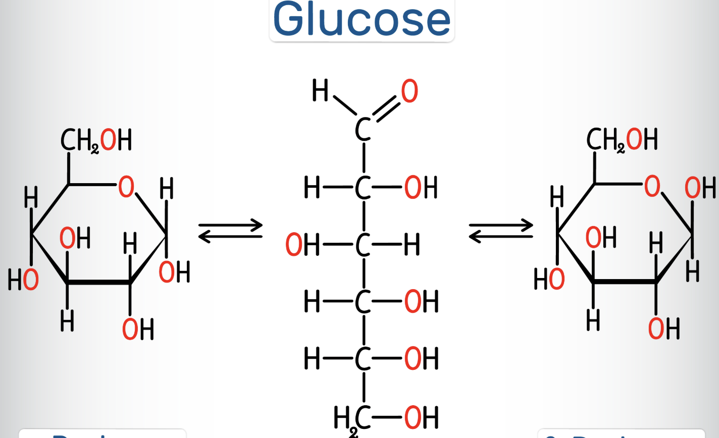 <p><span style="background-color: transparent; font-family: "Times New Roman", serif;">Monosaccharides generally have molecular formulas that are some multiple of the unit CH<sub>2</sub>O.&nbsp;</span></p><ul><li><p><span style="background-color: transparent; font-family: "Times New Roman", serif;">Glucose (C<sub>6</sub>H<sub>12</sub>O<sub>6</sub>) is the most common mono saccharide and is of central importance in chemistry of life</span></p></li><li><p><span style="background-color: transparent; font-family: "Times New Roman", serif;">Glucose has qualities of monosaccharide; carbonyl group, multiple hydroxyl groups</span></p></li><li><p><span style="background-color: transparent;">Another criteria for monosaccharides is the size of the carbon skeleton which may be 3-7 carbons long&nbsp;</span></p></li></ul><p></p>