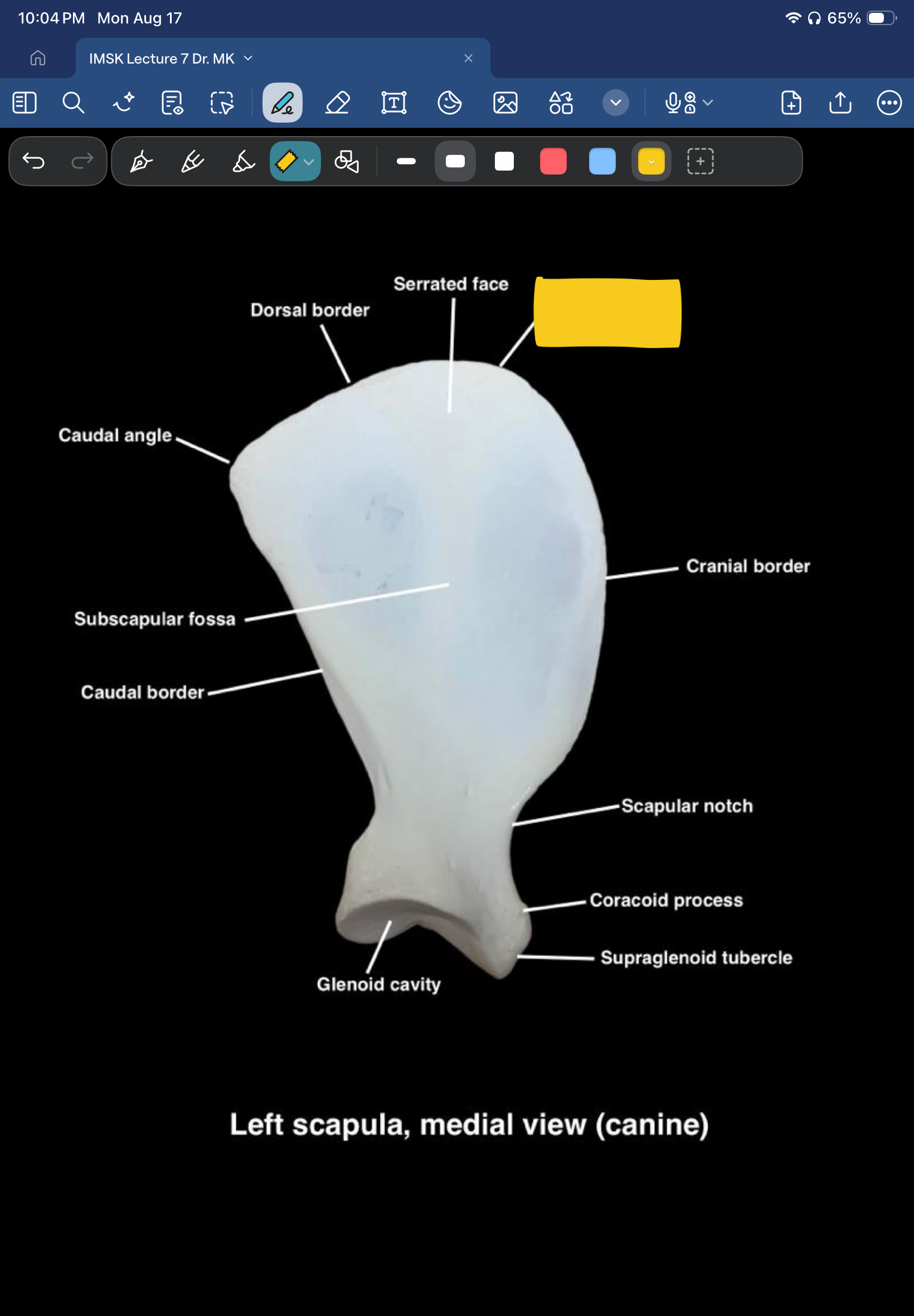 term image