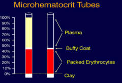 <p>using a microhematocrit tube and a centrifuge, we can get a spun hematocrit, PCV, and total solids.</p>