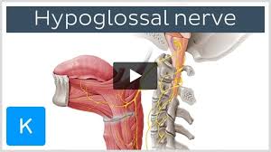 <p>Tests for CN 12 (Hypoglossal nerve) </p>